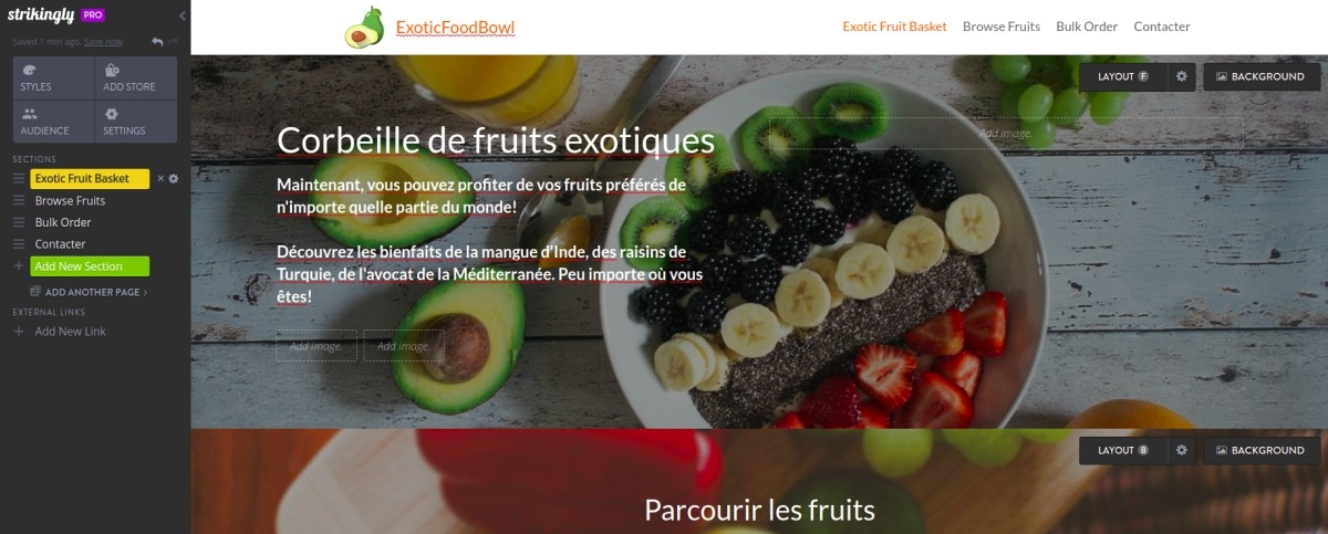 multilingual website multilingual website